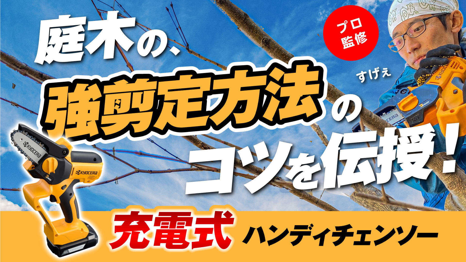 【プロが教える！】庭木の強剪定！充電式ハンディチェンソーを使ってみた！