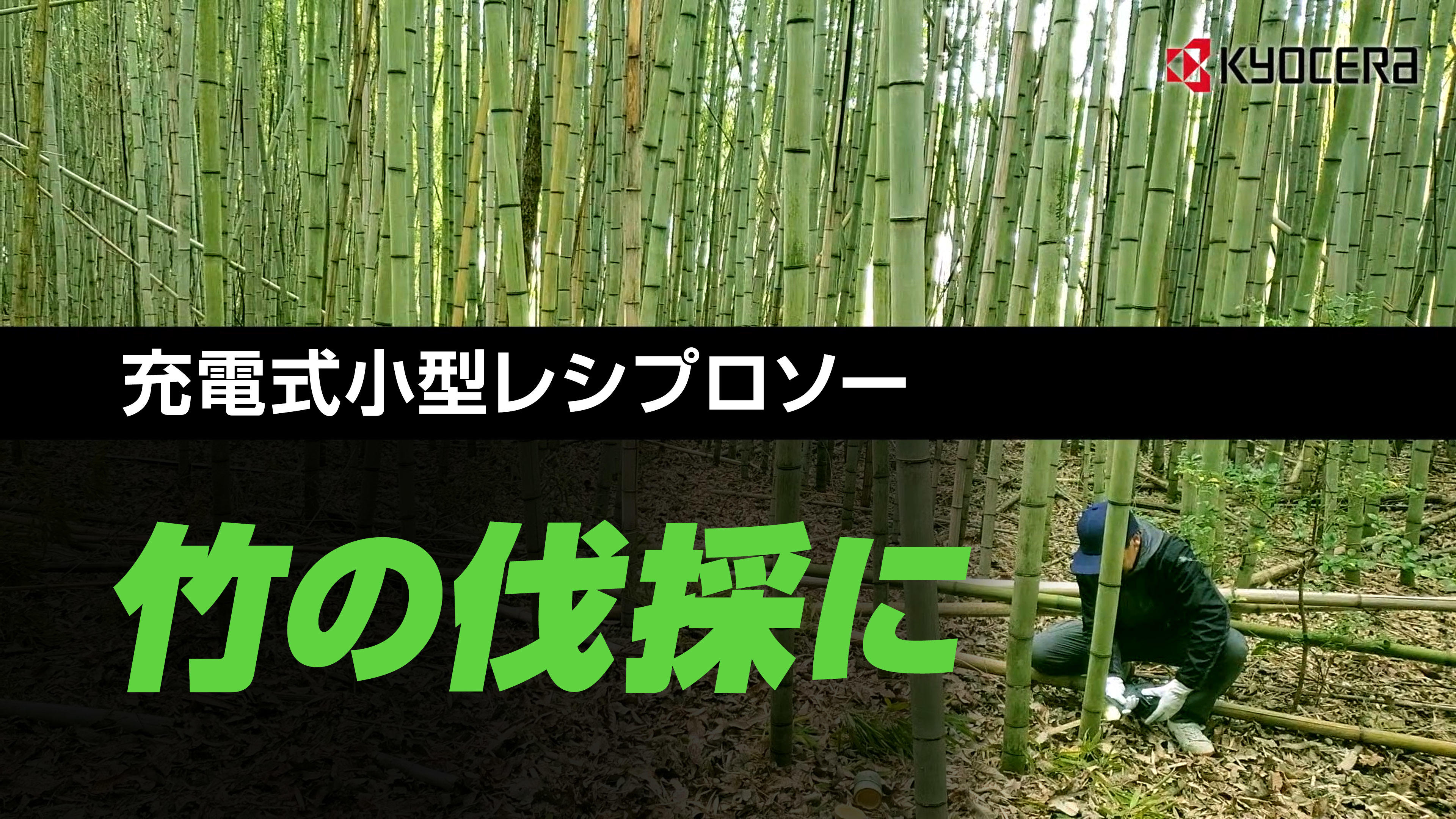 竹の伐採におススメの道具「充電式小型レシプロソー」