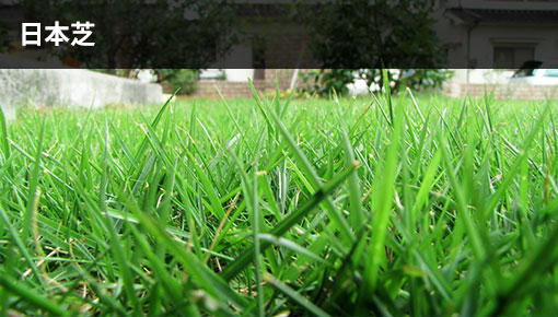 芝生をキレイに保つには バリカン 芝刈機 京セラインダストリアルツールズ