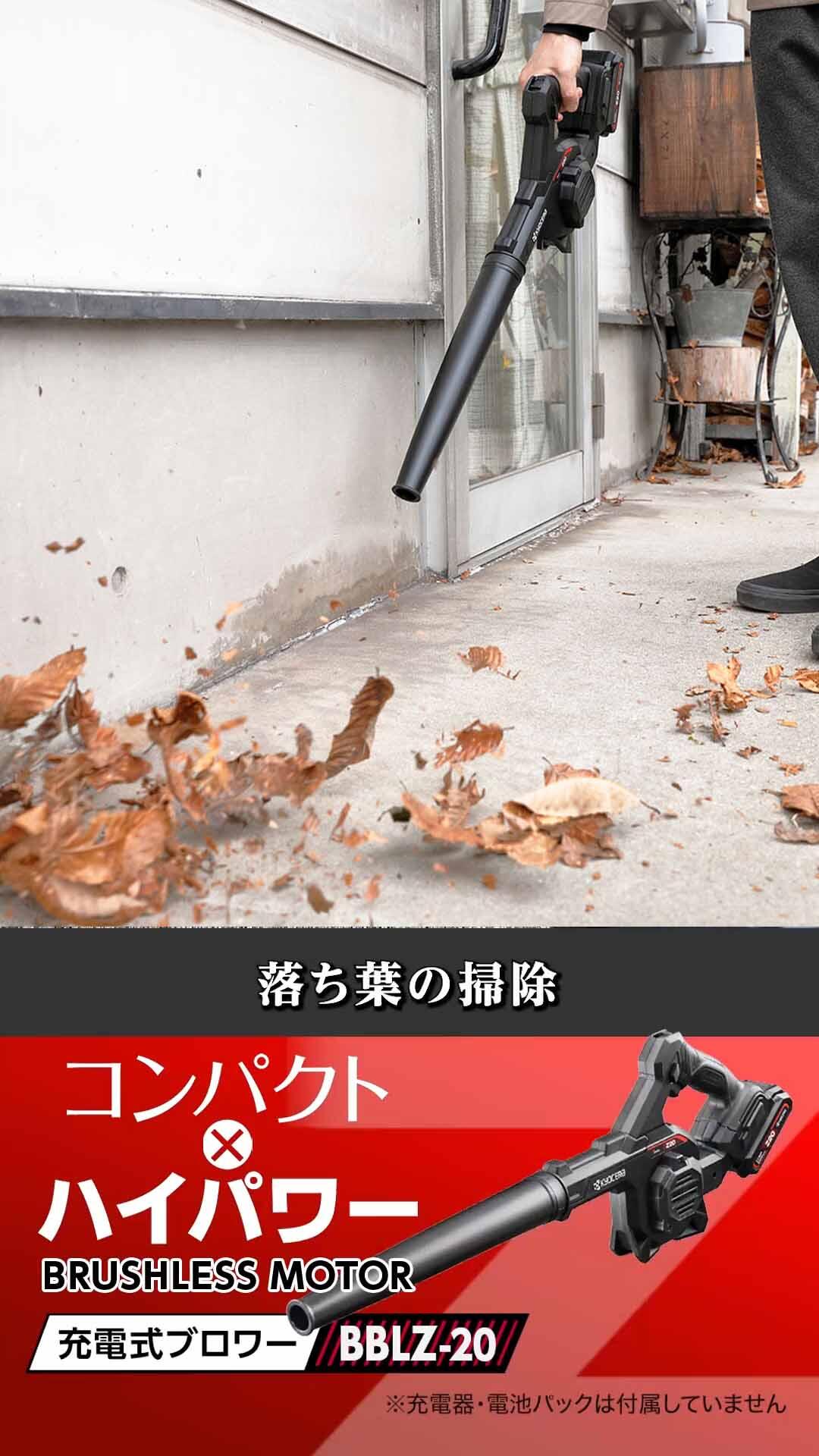 バッテリー式ダブルファン❗️ペラ取外し　水洗い可能❗️ DIY木工後や落ち葉掃除、洗車の水滴飛ばしに！充電式ブロワー【BBLZ-20